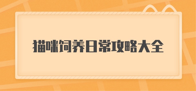 猫咪饲养日常攻略大全