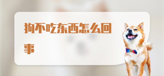 狗不吃东西怎么回事