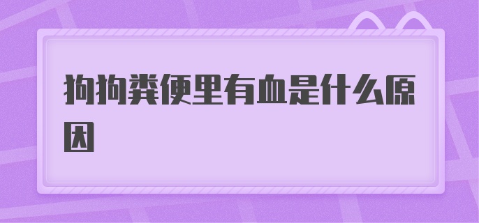 狗狗粪便里有血是什么原因