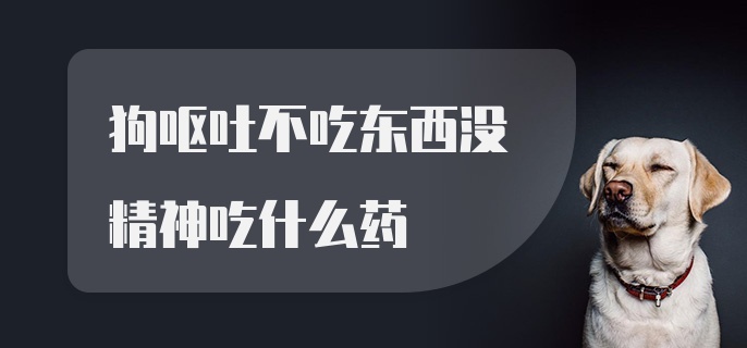 狗呕吐不吃东西没精神吃什么药