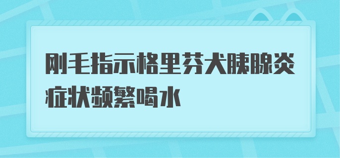 刚毛指示格里芬犬胰腺炎症状频繁喝水