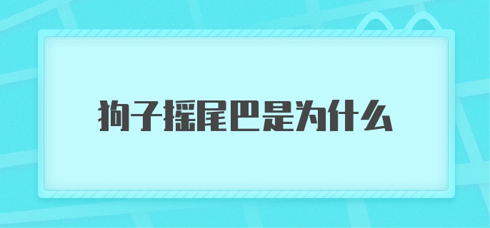 狗子摇尾巴是为什么