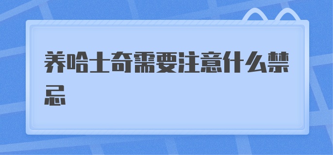 养哈士奇需要注意什么禁忌