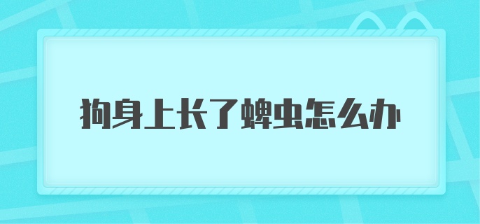 狗身上长了蜱虫怎么办