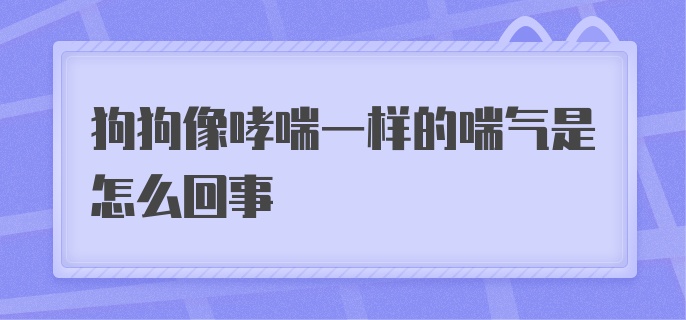 狗狗像哮喘一样的喘气是怎么回事