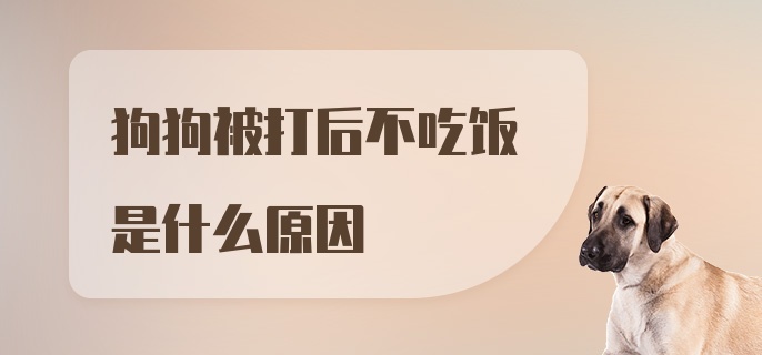 狗狗被打后不吃饭是什么原因