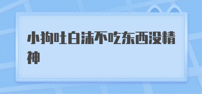 小狗吐白沫不吃东西没精神