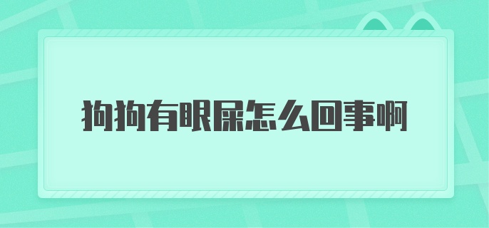 狗狗有眼屎怎么回事