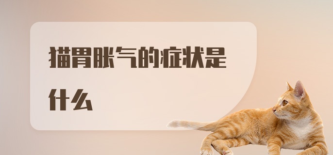 猫胃胀气的症状是什么