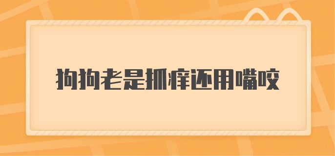 狗狗老是抓痒还用嘴咬