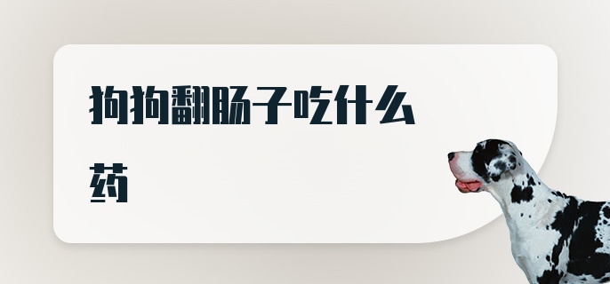 狗狗翻肠子吃什么药