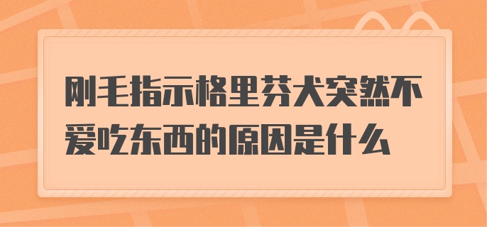 刚毛指示格里芬犬突然不爱吃东西的原因是什么