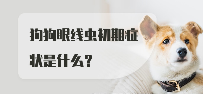 狗狗眼线虫初期症状是什么？