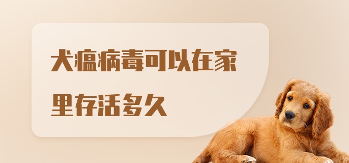 犬瘟病毒可以在家里存活多久