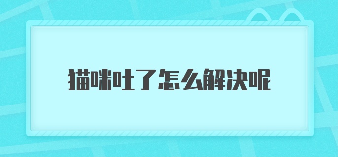 猫咪吐了怎么解决呢