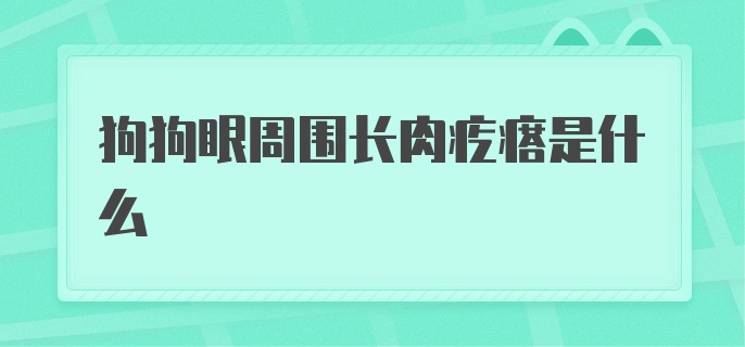 狗狗眼周围长肉疙瘩是什么