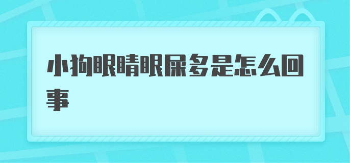 小狗眼睛眼屎多是怎么回事