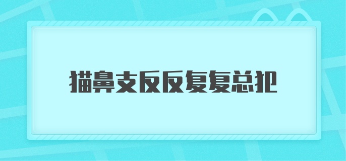 猫鼻支反反复复总犯