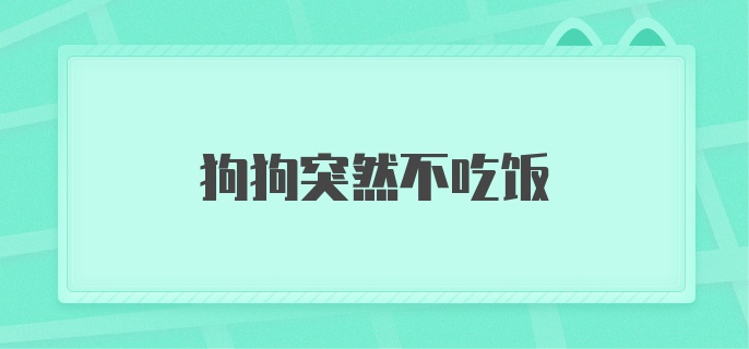 狗狗突然不吃饭