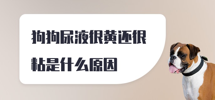 狗狗尿液很黄还很粘是什么原因