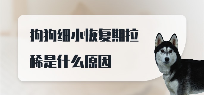 狗狗细小恢复期拉稀是什么原因