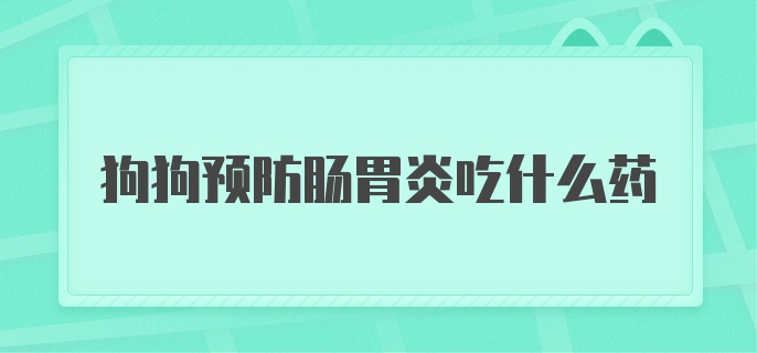 狗狗预防肠胃炎吃什么药