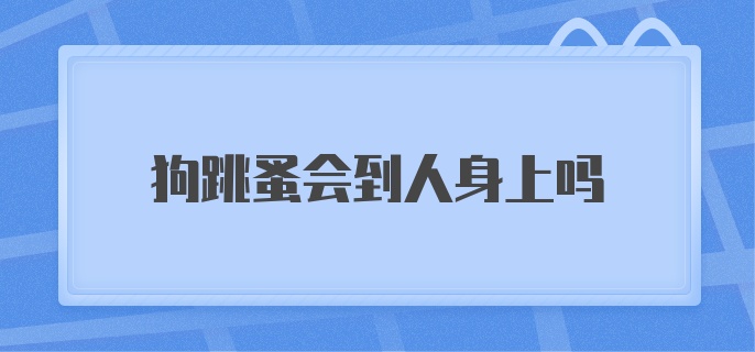 狗跳蚤会到人身上吗