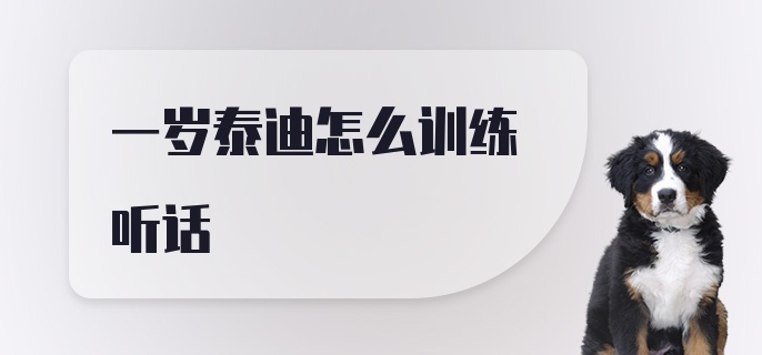 一岁泰迪怎么训练听话