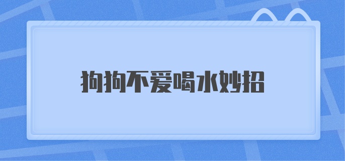 狗狗不爱喝水该怎么办