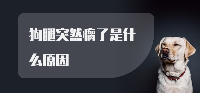 狗腿突然瘸了是什么原因