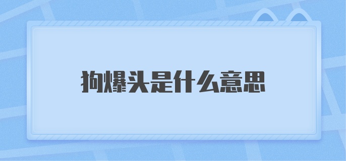 狗爆头是什么意思