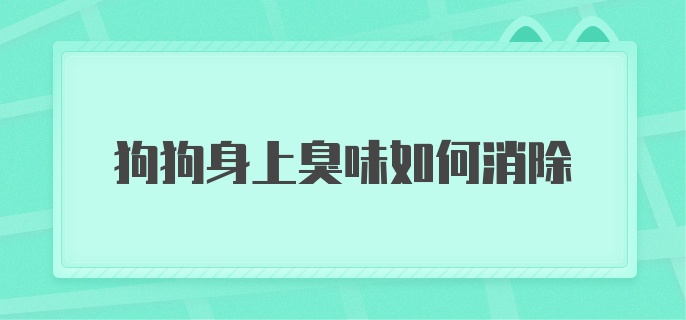 狗狗身上臭味如何消除