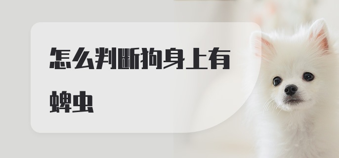 怎么判断狗身上有蜱虫