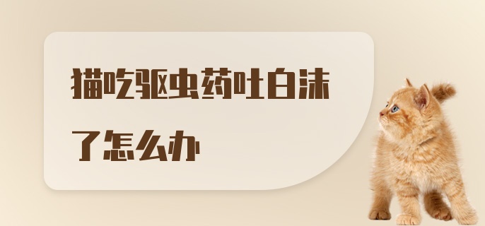 猫吃驱虫药吐白沫了怎么办