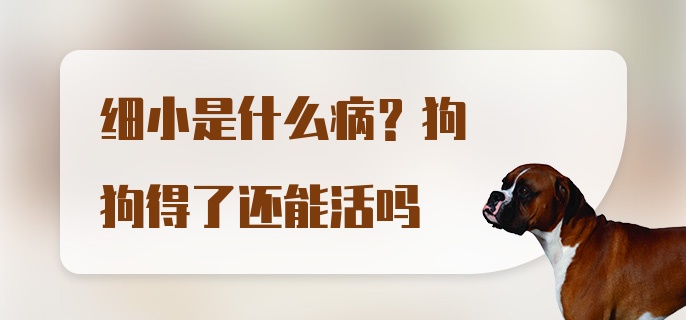 细小是什么病?狗狗得了还能活吗