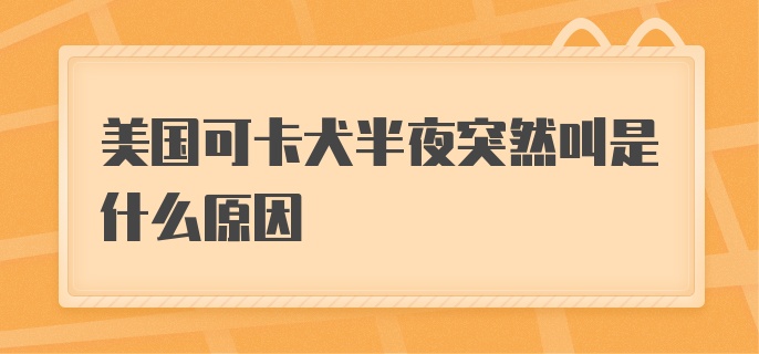 美国可卡犬半夜突然叫是什么原因