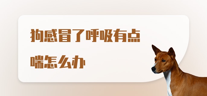 狗感冒了呼吸有点喘怎么办