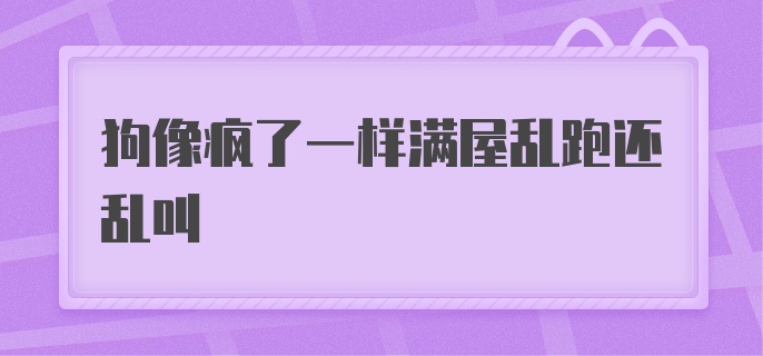 狗像疯了一样满屋乱跑还乱叫