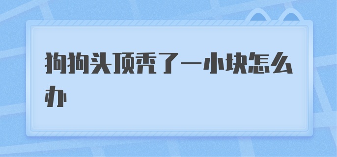 狗狗头上秃了一小块怎么办