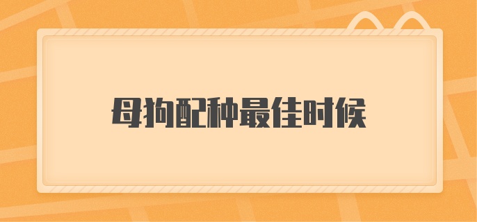 母狗配种最佳时候