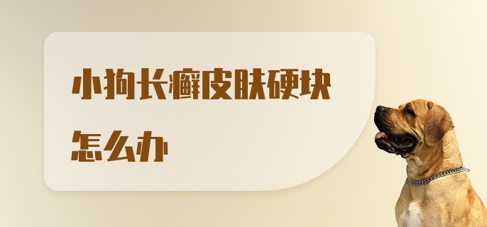 小狗长癣皮肤硬块怎么办