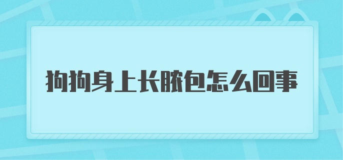 狗狗身上长脓包怎么回事