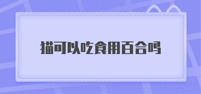 猫可以吃食用百合吗