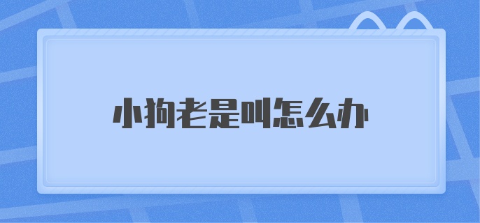 小狗老是叫怎么办