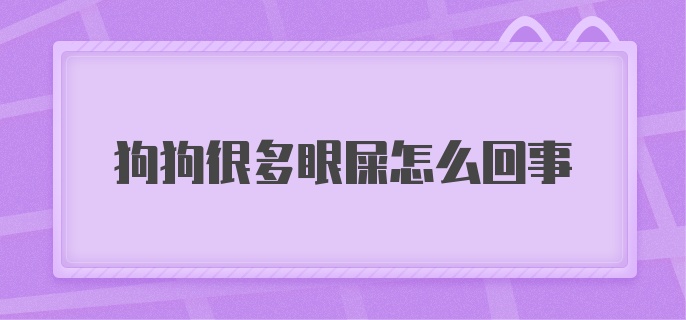 狗狗很多眼屎怎么回事