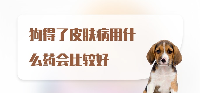 狗得了皮肤病用什么药会比较好