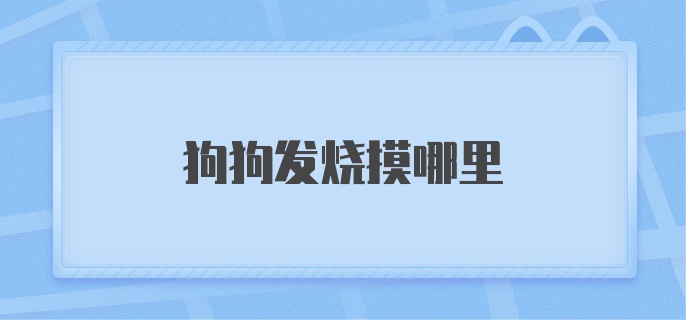 狗狗发烧摸哪里