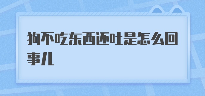 狗不吃东西还吐是怎么回事儿