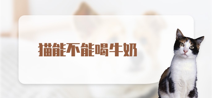 猫能不能喝牛奶