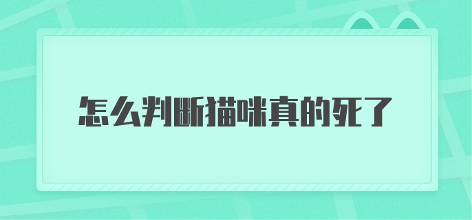 怎么判断猫咪真的死了？